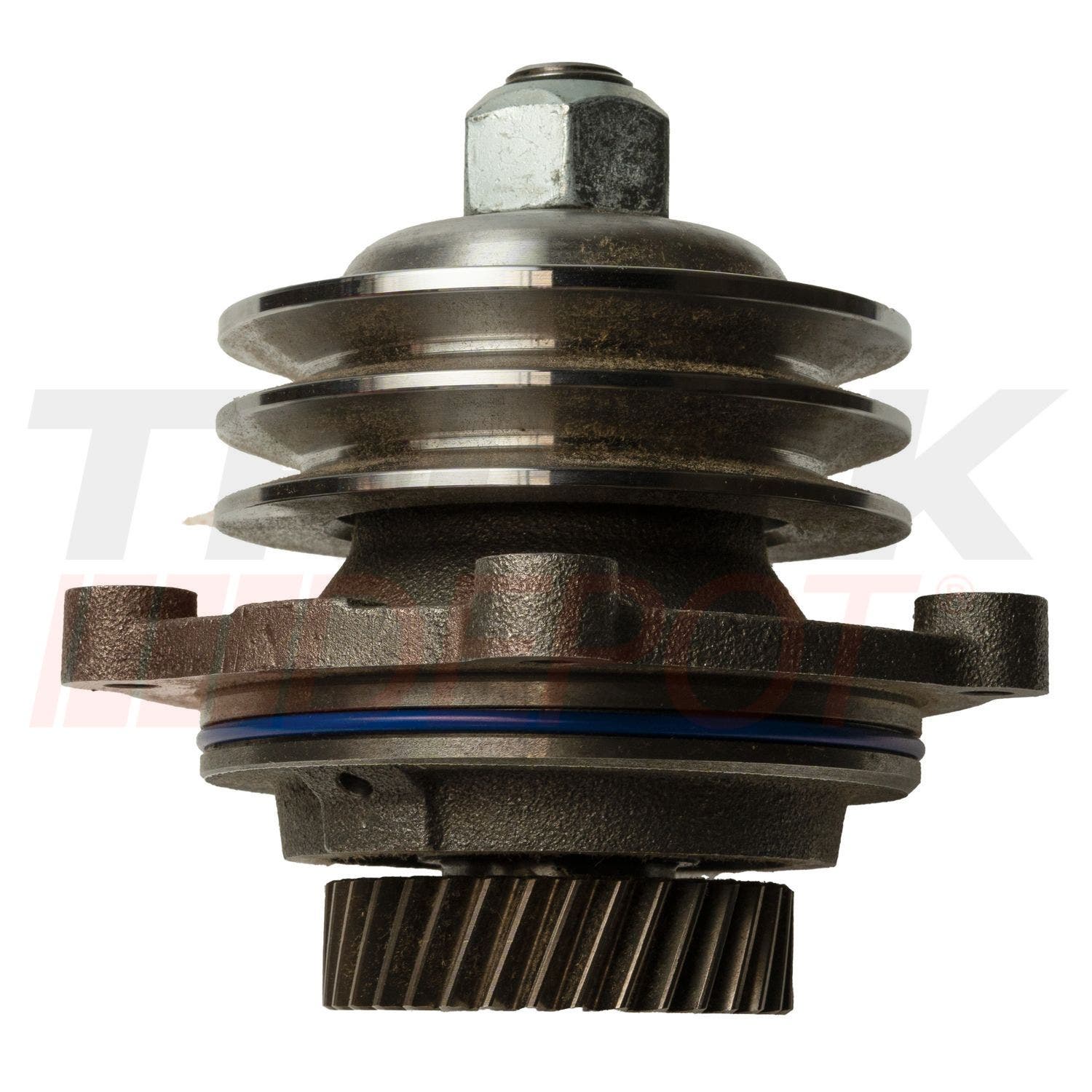 Polea de accesorios bandas en V, 2 canales, engranaje helicoidal, 34 dientes motor Detroit S60 12,7