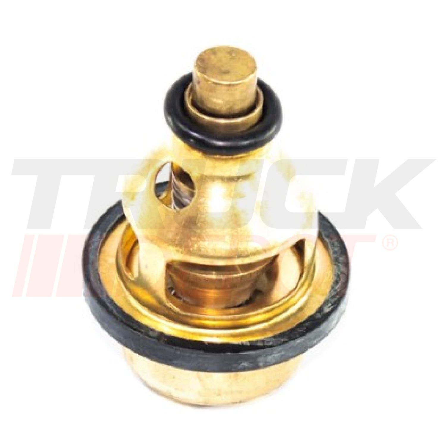 Termostato Cummins S-88 /3049000 160°