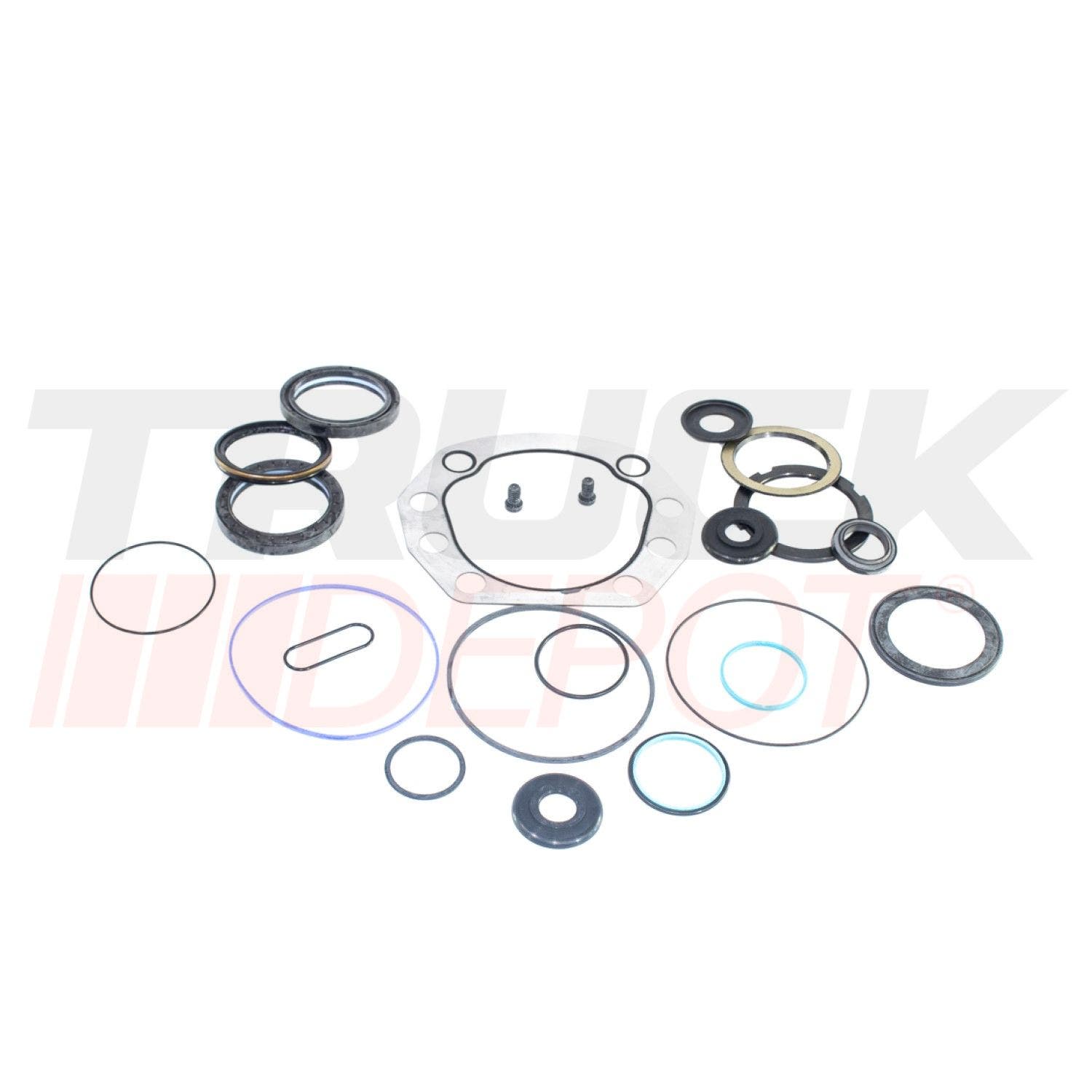 Kit de bomba de director Tas850005