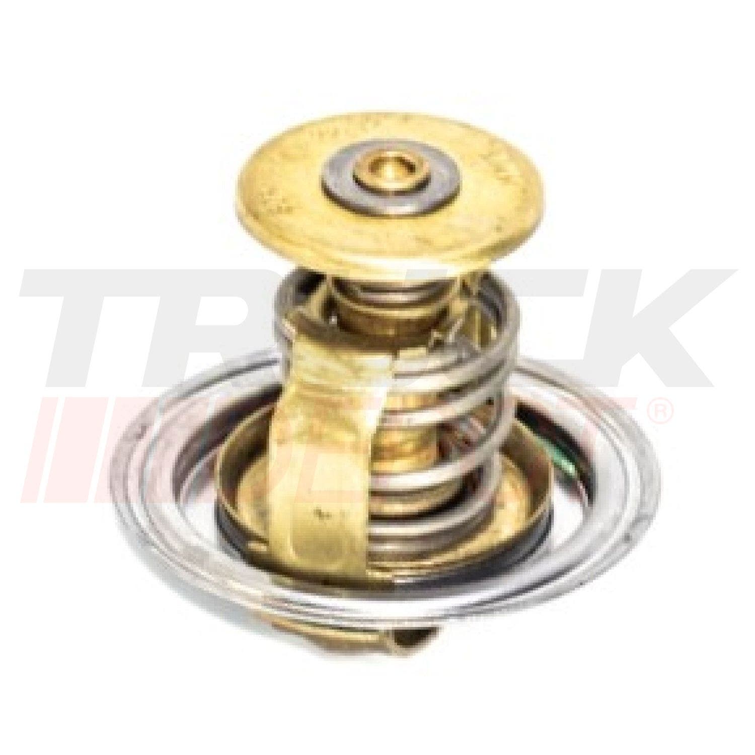 Termostato VW16-210/17-210