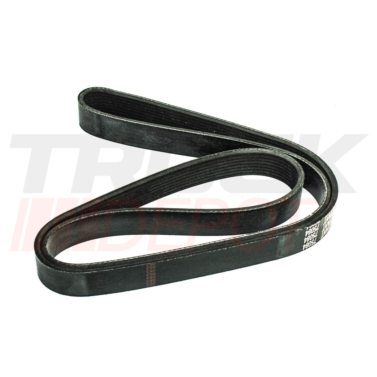 Faja de alternador para 1 alternador K124/360 K380