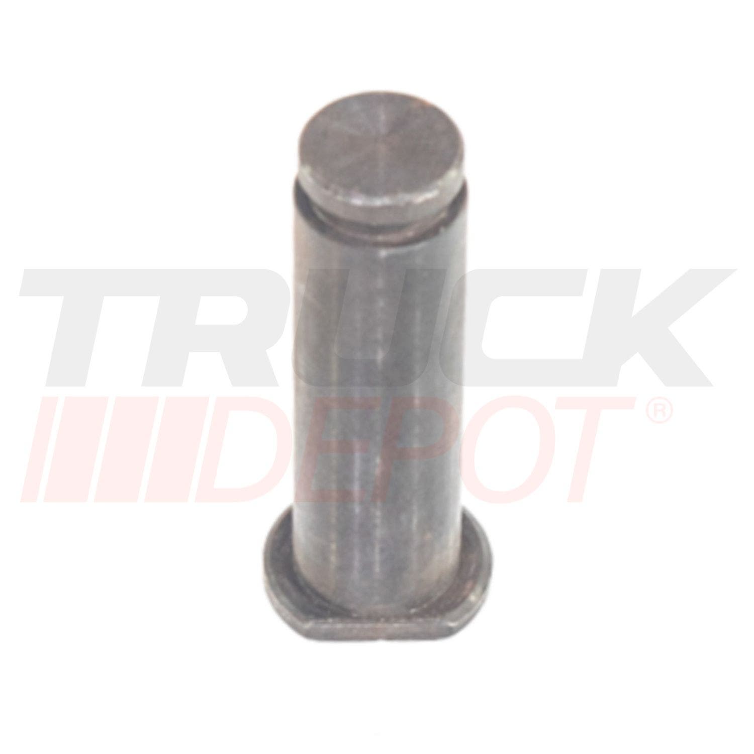 Pin de rodillo zapata trasera 8tis