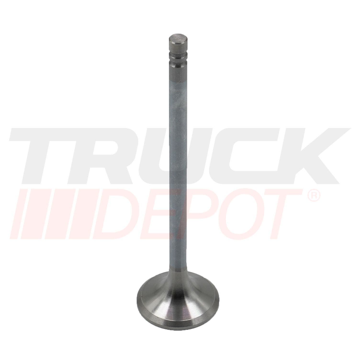 Valvula de escape Td73/d7
