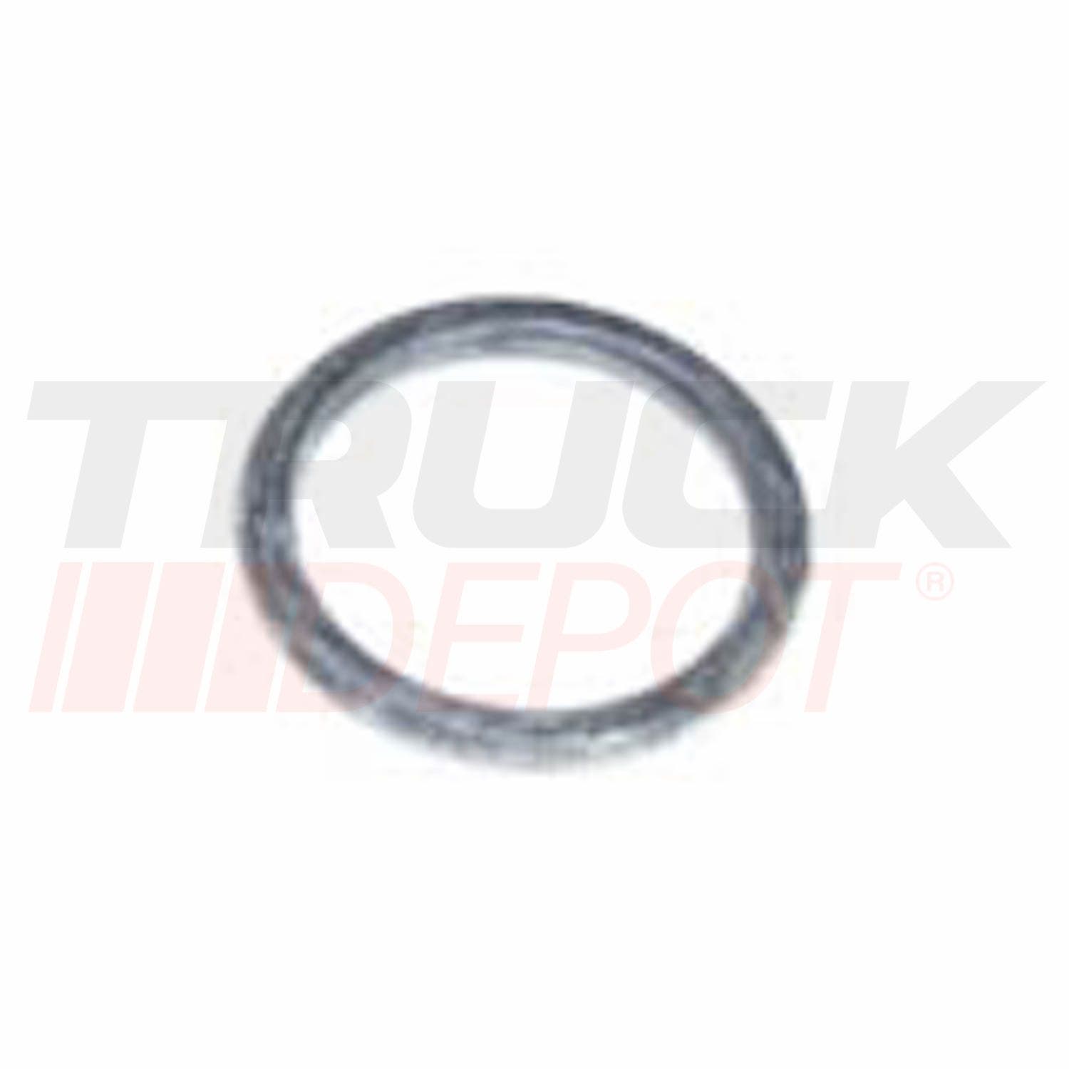 O-ring base Filtro Ac. Thd100/101