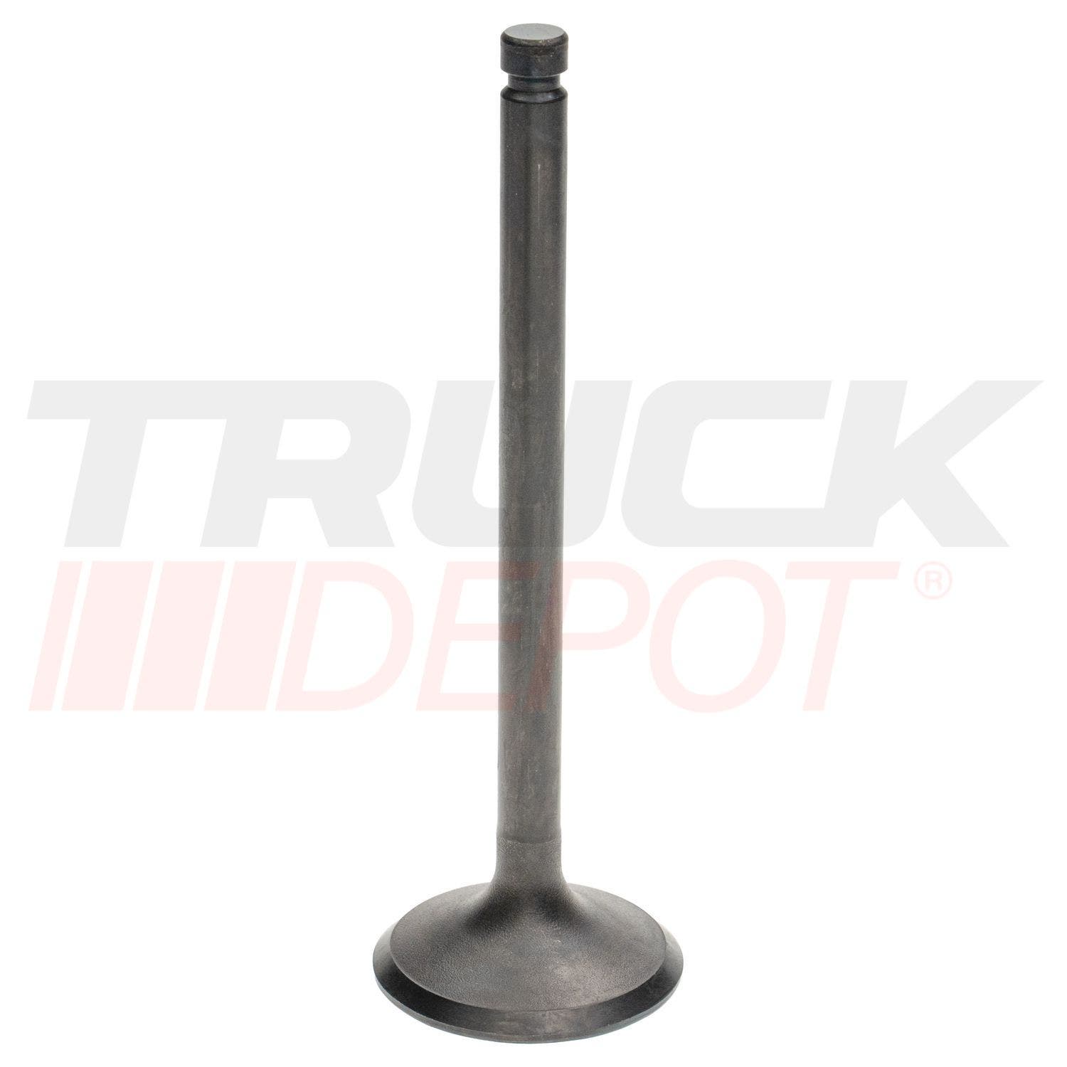 Valvula de admision Hyundai HD65 - D4ALA - D4ALB -D4ALC(4)