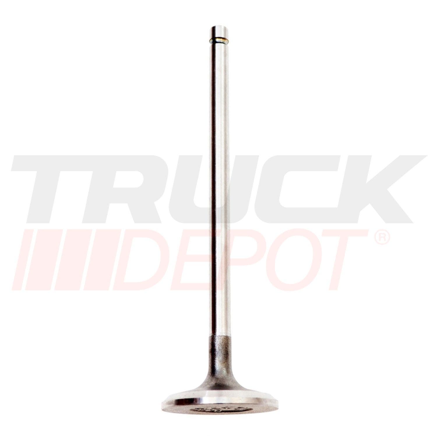 Valvula de escape Hino J05/J06/J08C-T